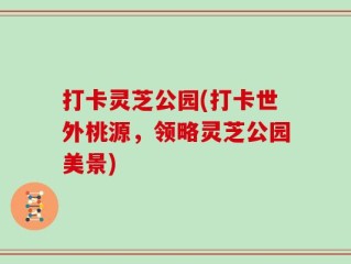 打卡灵芝公园(打卡世外桃源，领略灵芝公园美景)