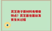 灵芝孢子原材料有哪些特点？灵芝菌包菌丝发育生长过程