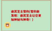 通灵芝士雪豹(雪豹新发现：通灵芝士让它更加神秘与神奇！)