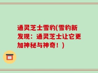 通灵芝士雪豹(雪豹新发现：通灵芝士让它更加神秘与神奇！)