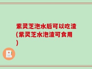 紫灵芝泡水后可以吃渣(紫灵芝水泡渣可食用)