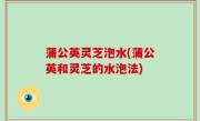 蒲公英灵芝泡水(蒲公英和灵芝的水泡法)