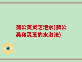 蒲公英灵芝泡水(蒲公英和灵芝的水泡法)