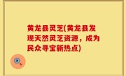 黄龙县灵芝(黄龙县发现天然灵芝资源，成为民众寻宝新热点)