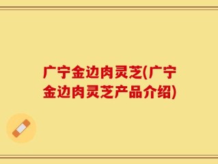 广宁金边肉灵芝(广宁金边肉灵芝产品介绍)