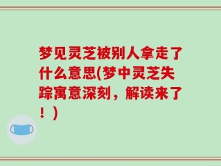 梦见灵芝被别人拿走了什么意思(梦中灵芝失踪寓意深刻，解读来了！)
