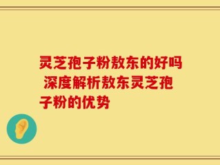 灵芝孢子粉敖东的好吗 深度解析敖东灵芝孢子粉的优势