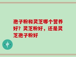 孢子粉和灵芝哪个营养好？灵芝粉好，还是灵芝孢子粉好