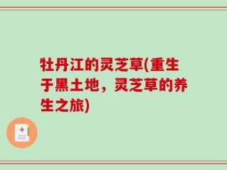 牡丹江的灵芝草(重生于黑土地，灵芝草的养生之旅)