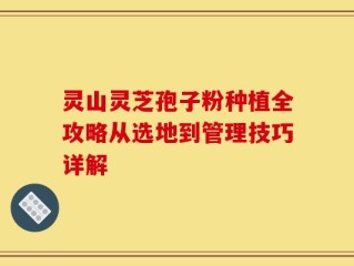 灵山灵芝孢子粉种植全攻略从选地到管理技巧详解