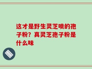 这才是野生灵芝喷的孢子粉？真灵芝孢子粉是什么味