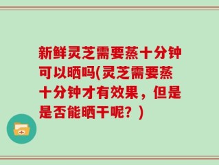 新鲜灵芝需要蒸十分钟可以晒吗(灵芝需要蒸十分钟才有效果，但是是否能晒干呢？)