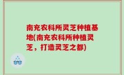南充农科所灵芝种植基地(南充农科所种植灵芝，打造灵芝之都)