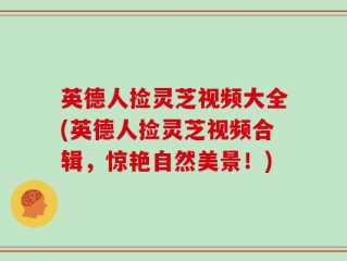 英德人捡灵芝视频大全(英德人捡灵芝视频合辑，惊艳自然美景！)