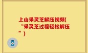上山采灵芝解压视频(“采灵芝过程轻松解压”)