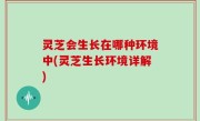 灵芝会生长在哪种环境中(灵芝生长环境详解)