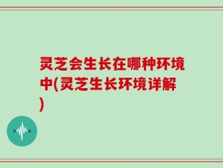 灵芝会生长在哪种环境中(灵芝生长环境详解)