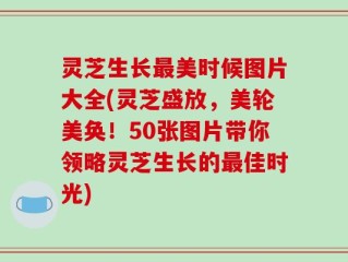 灵芝生长最美时候图片大全(灵芝盛放，美轮美奂！50张图片带你领略灵芝生长的最佳时光)