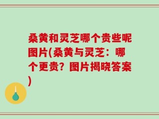 桑黄和灵芝哪个贵些呢图片(桑黄与灵芝：哪个更贵？图片揭晓答案)