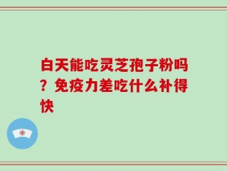 白天能吃灵芝孢子粉吗？免疫力差吃什么补得快