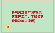 参观灵芝生产(参观灵芝生产工厂，了解灵芝种植及加工流程)