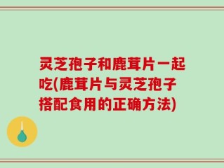 灵芝孢子和鹿茸片一起吃(鹿茸片与灵芝孢子搭配食用的正确方法)
