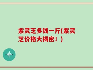 紫灵芝多钱一斤(紫灵芝价格大揭密！)