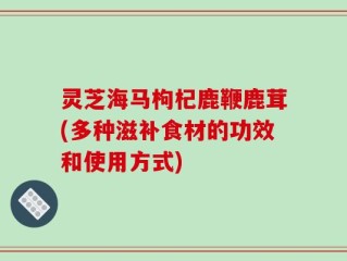 灵芝海马枸杞鹿鞭鹿茸(多种滋补食材的功效和使用方式)
