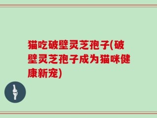 猫吃破壁灵芝孢子(破壁灵芝孢子成为猫咪健康新宠)