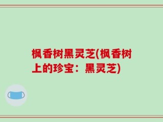 枫香树黑灵芝(枫香树上的珍宝：黑灵芝)