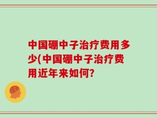 中国硼中子治疗费用多少(中国硼中子治疗费用近年来如何？