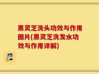 黑灵芝洗头功效与作用图片(黑灵芝洗发水功效与作用详解)