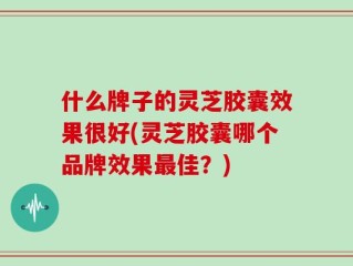 什么牌子的灵芝胶囊效果很好(灵芝胶囊哪个品牌效果最佳？)