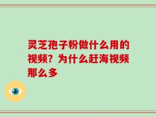 灵芝孢子粉做什么用的视频？为什么赶海视频那么多