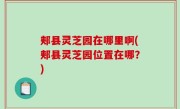 郏县灵芝园在哪里啊(郏县灵芝园位置在哪？)