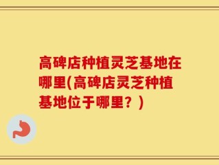 高碑店种植灵芝基地在哪里(高碑店灵芝种植基地位于哪里？)