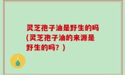 灵芝孢子油是野生的吗(灵芝孢子油的来源是野生的吗？)