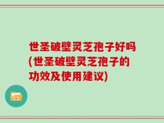 世圣破壁灵芝孢子好吗(世圣破壁灵芝孢子的功效及使用建议)