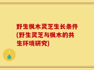 野生枫木灵芝生长条件(野生灵芝与枫木的共生环境研究)