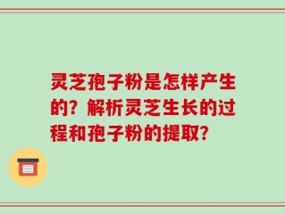 灵芝孢子粉是怎样产生的？解析灵芝生长的过程和孢子粉的提取？