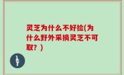 灵芝为什么不好捡(为什么野外采摘灵芝不可取？)
