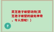 灵芝孢子玻壁功效(灵芝孢子玻壁的益处神奇，令人惊叹！)