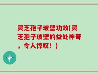 灵芝孢子玻壁功效(灵芝孢子玻壁的益处神奇，令人惊叹！)