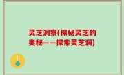 灵芝洞察(探秘灵芝的奥秘——探索灵芝洞)