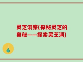 灵芝洞察(探秘灵芝的奥秘——探索灵芝洞)