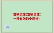 左柄灵芝(左柄灵芝：一种有效的中药材)