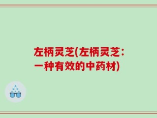 左柄灵芝(左柄灵芝：一种有效的中药材)