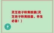 灵芝孢子粉黄胶囊(灵芝孢子粉黄胶囊，养生必备！)