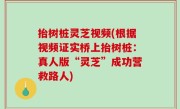 抬树桩灵芝视频(根据视频证实桥上抬树桩：真人版“灵芝”成功营救路人)