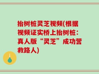 抬树桩灵芝视频(根据视频证实桥上抬树桩：真人版“灵芝”成功营救路人)